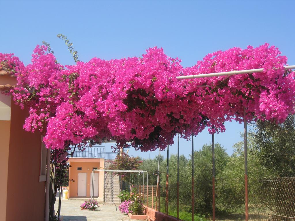 Paradise Studios Svoronata Luaran gambar